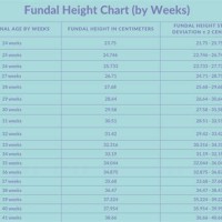Fundal Height Chart By Week