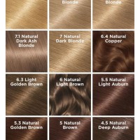Garnier Brown Hair Color Chart