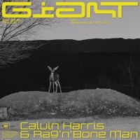 Giant Calvin Harris Charts