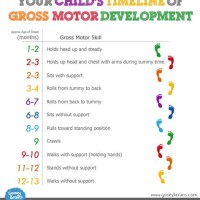 Gross Motor Skills Developmental Milestones Chart