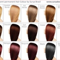 Hair Color Geics Chart