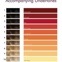Hair Colour Undertones Chart