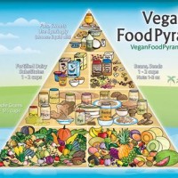 Healthy Vegetarian T Chart