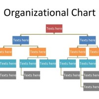 Hierarchy Chart Template Word
