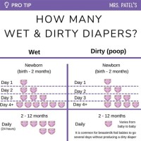 How Many Dirty Diapers Per Day Chart