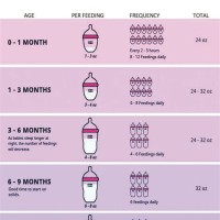 How Many Ounces Baby Drink Chart