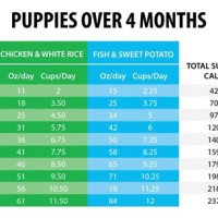 How Much Food To Feed Puppy Chart
