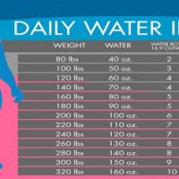 How Much Water To Drink Per Day Chart