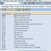 How To Display Chart Of Accounts In Sap Mm