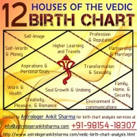 How To Read Indian Astrology Chart Houses