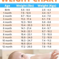 Ideal Weight For Infants Chart