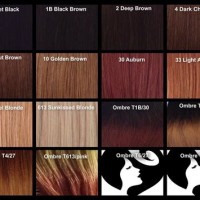 Indian Remy Hair Color Chart