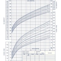 Infant Healthy Weight Chart