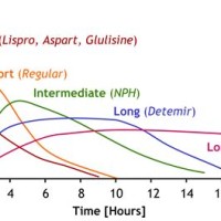 Insulin Peak Times Chart