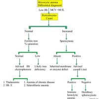 Iron Deficiency Anemia Flow Chart