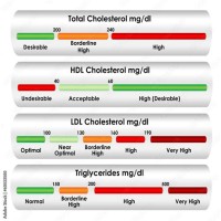 Ldl Hdl Cholesterol Levels Chart