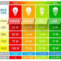 Light Bulb Efficiency Chart
