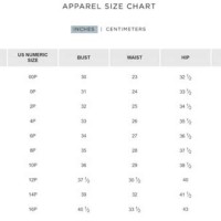 Loft Jeans Size Chart