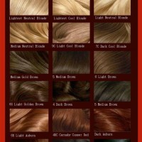 Loreal Brown Hair Dye Chart