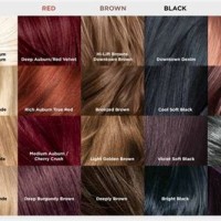 Loreal Hair Color Chart Black
