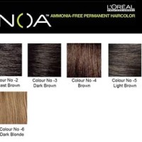 Loreal Professional Inoa Color Chart