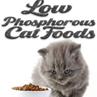 Low Phosphorus Dry Cat Food Chart