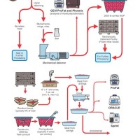 Meat Processing Flow Chart