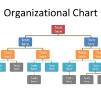Microsoft Word Hierarchy Chart Template