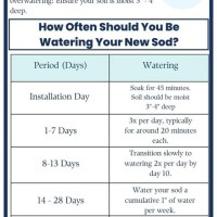 New St Augustine Sod Watering Chart
