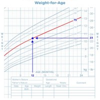 Normal Height Weight Chart Babies
