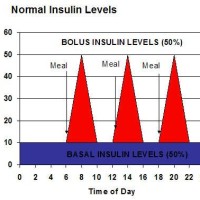 Normal Insulin Levels Chart