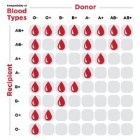 O Positive Blood Type Donation Chart