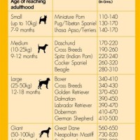 Pedigree Dog Food Weight Chart