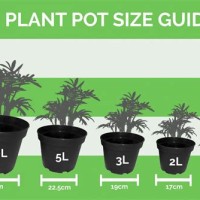 Plant Pot Sizes Chart Uk