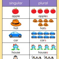 Plural Chart With Pictures