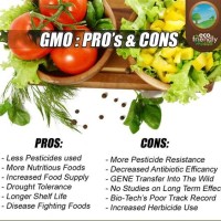 Pros And Cons Of Gmos Chart