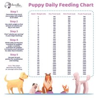 Puppy Bottle Feeding Chart Uk