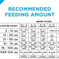 Purina Pro Plan Dog Feeding Chart