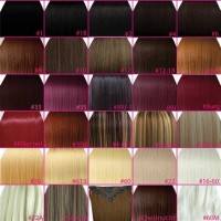 Remy Clip In Hair Extension Color Chart