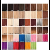 Remy Human Hair Extensions Color Chart