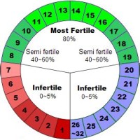 Safe Days Menstrual Cycle Chart