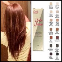 Sally Hair Color Chart