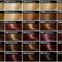 Sallys Hair Color Chart
