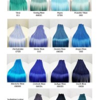 Shades Of Brute Hair Color Chart