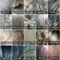 Silver Grey Hair Colour Chart