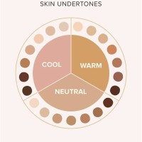 Skin Tone Chart Warm Or Cool