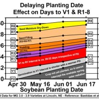 Soybean Modity Chart