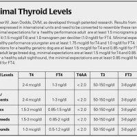 Thyroid Medication Dosage Chart For Dogs