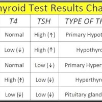 Thyroid Test Results Chart T3