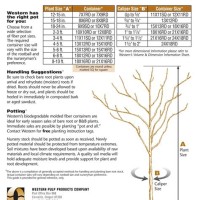 Tree Caliper Size Chart